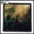 STEELY DAN -- Patch (4).jpg