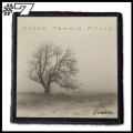 STONE TEMPLE PILOTS -- Patch (7).jpg