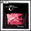 SIOUXSIE AND THE BANSHEES -- Patch (8).jpg