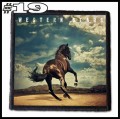 BRUCE SPRINGSTEEN -- Patch (19).jpg