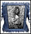 ROBERT PLANT - Kezar Stadium -- backpatch back patch.jpg