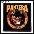 PANTERA -- patch (17).jpg