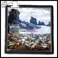 PLACEBO -- Patch (4).jpg